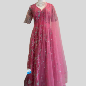 Net Baby Pink Gown
